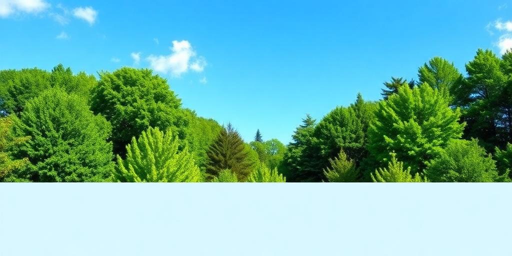 The Importance of Environmental Ethics in Decision Making