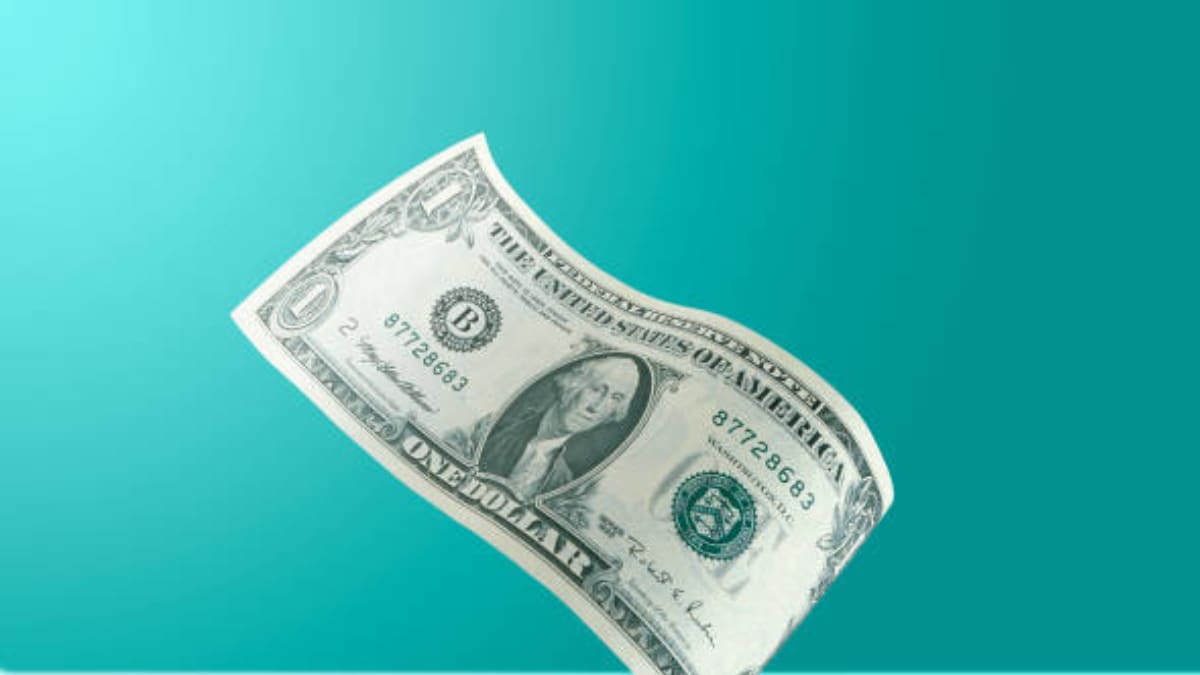 Foreign Portfolio Investment: Navigating the Storm