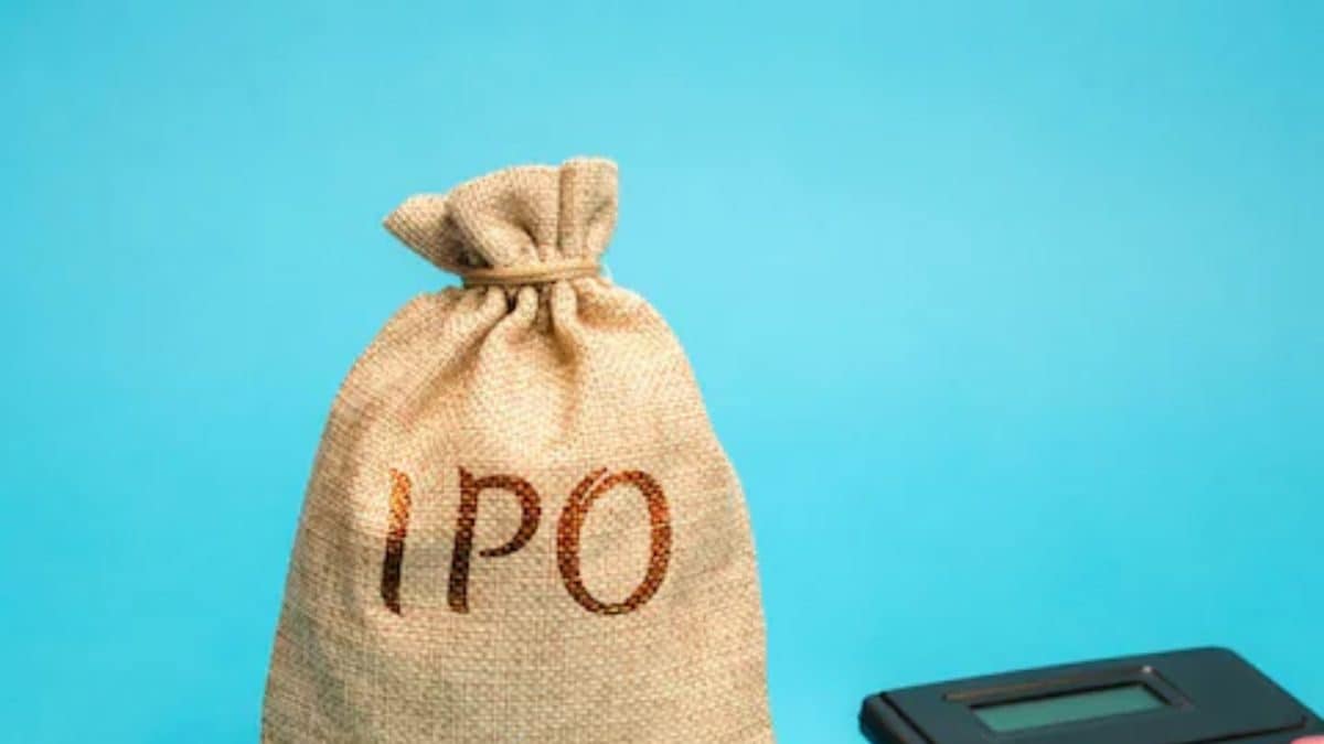 The IPO Flipping Frenzy: A Look at Investor Behavior in India’s Hot IPO Market