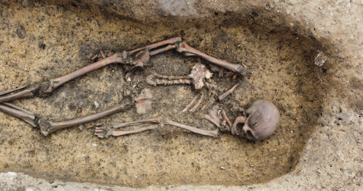 Unveiling Secrets of the Viking Burial Ground: 50 Skeletons Offer Unprecedented Insights