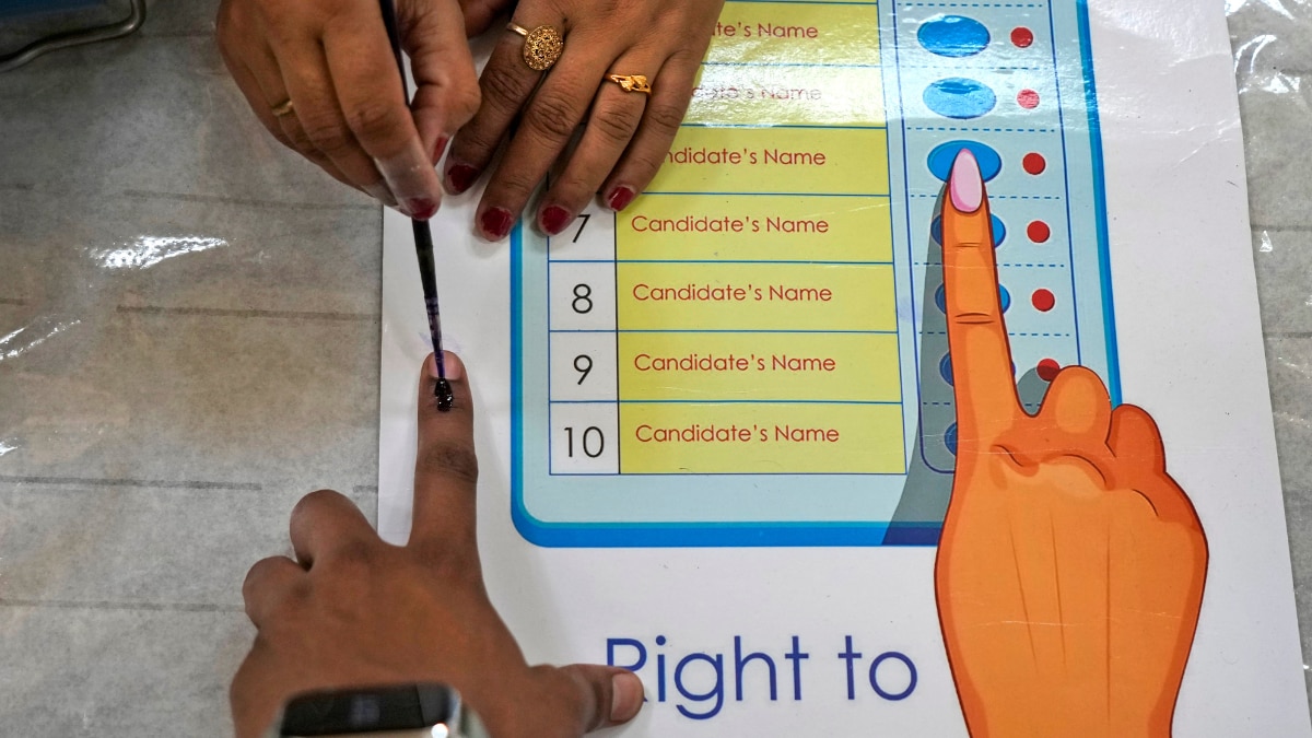 क्या स्वतंत्र उम्मीदवारों का वजूद खत्म हो रहा है?